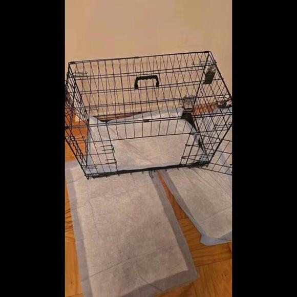Other - Double Door Folding Metal Wire Dog Cage with Plastic Leak-Proof Pan Tray